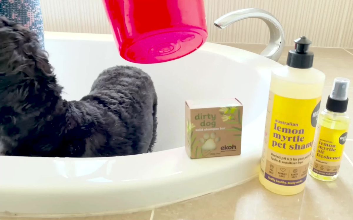 Consumer Goods Video of Yurah for EKOHSTORE