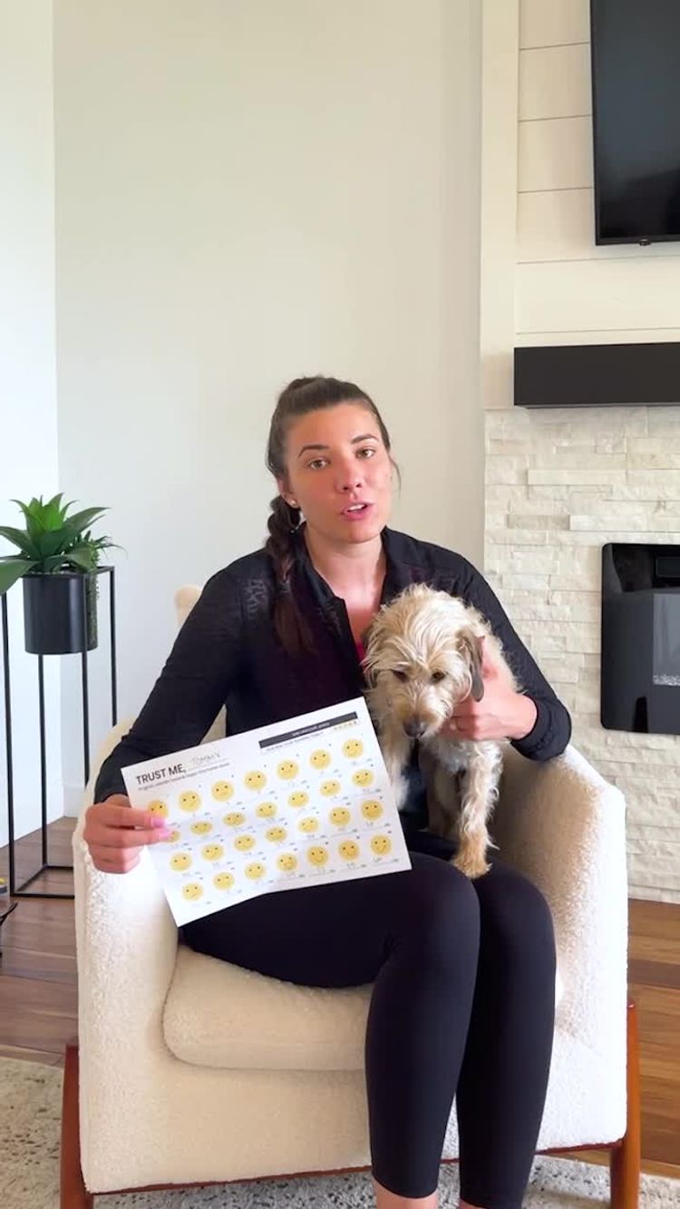 Huisdieren Video van Shelby voor The Dog Explained