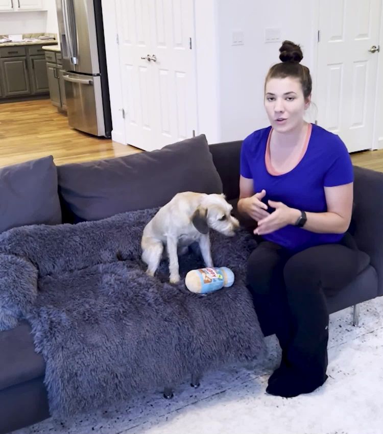 Zwierzęta domowe Wideo Shelby dla DogsLanding