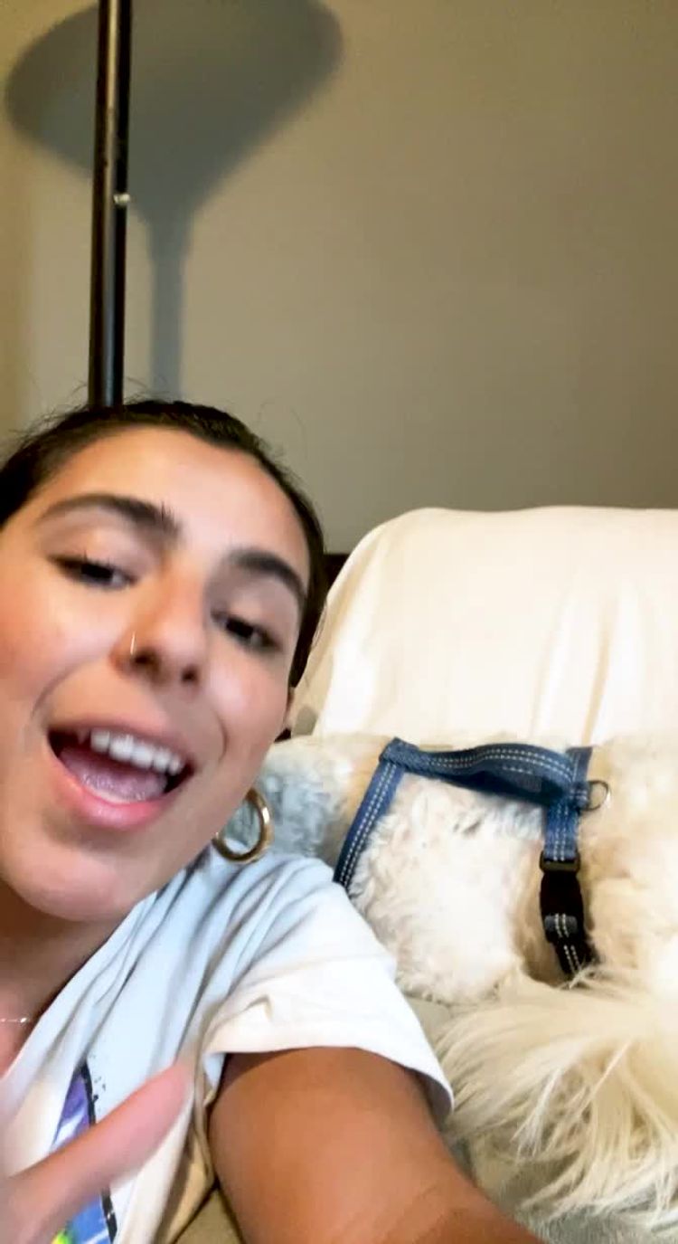 Mascotas Video of Bryana for PupRing