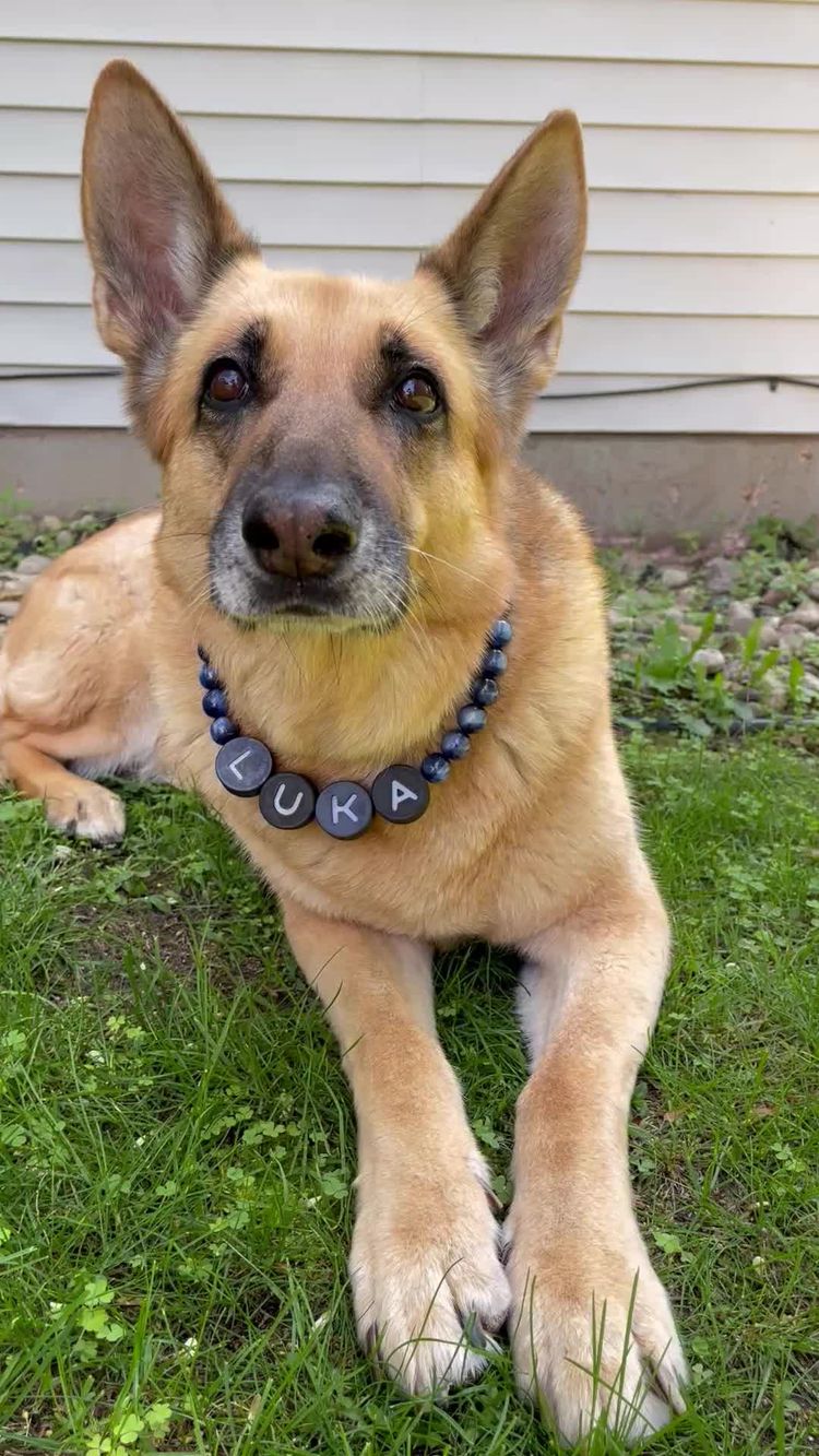 Video av Courtney for Furiend