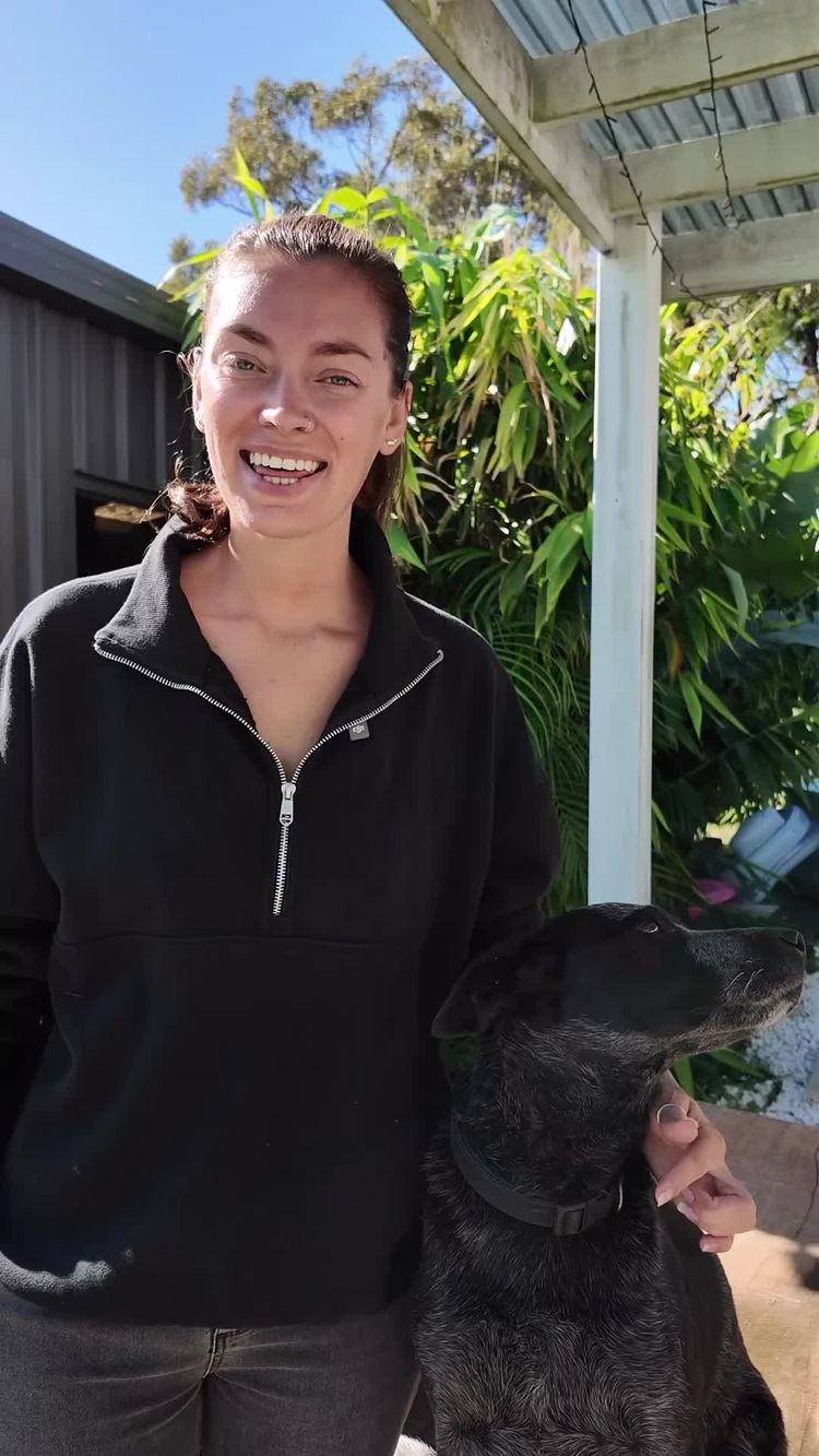 Pets Video of Courtney for eDog