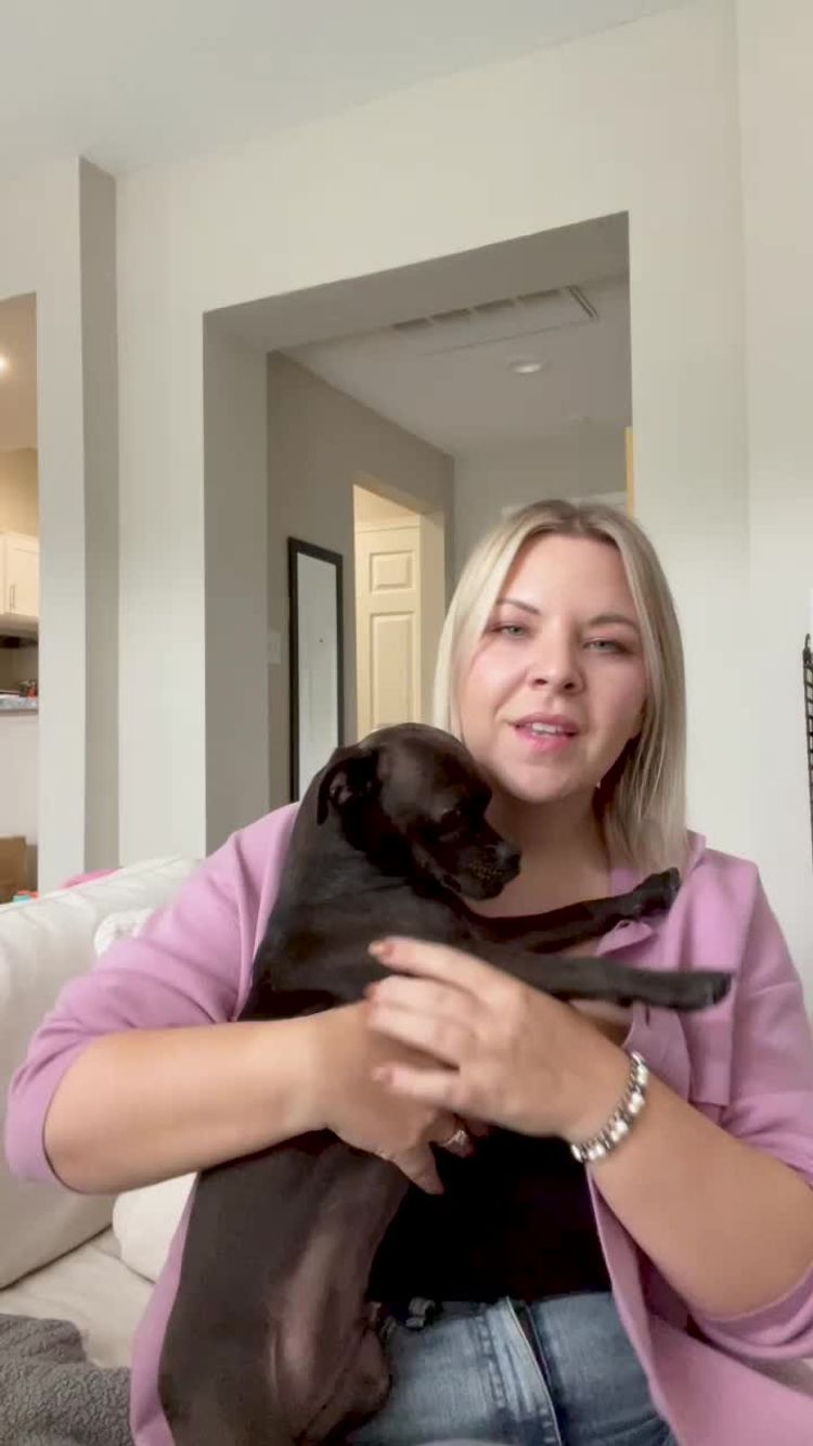 Husdjur Video av Barbara för Support Pets