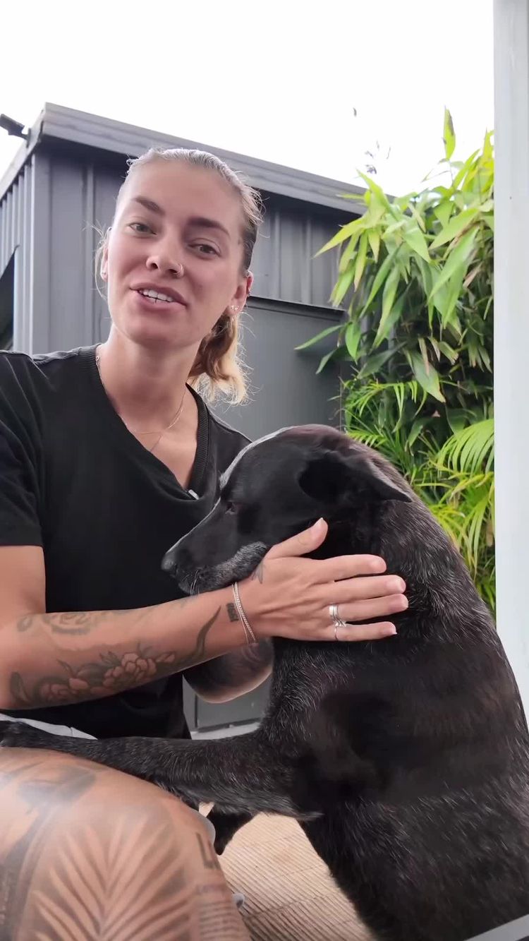 Pets Video of Courtney for eDog