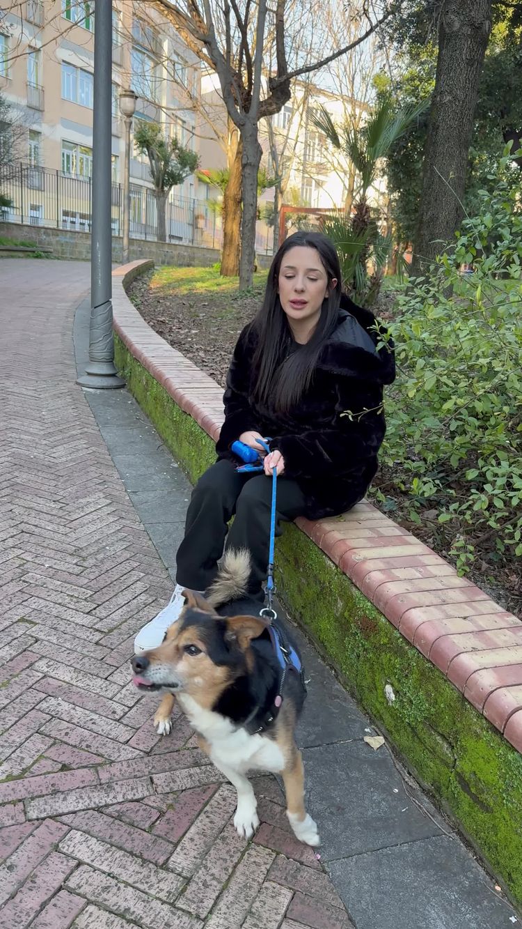 Video di Francesca per Stressless Dogs