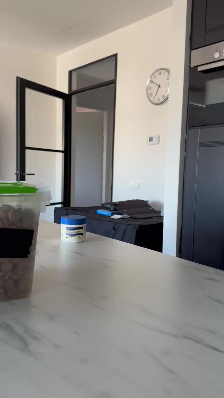 Animale de companie Video de Laura pentru Beemzy