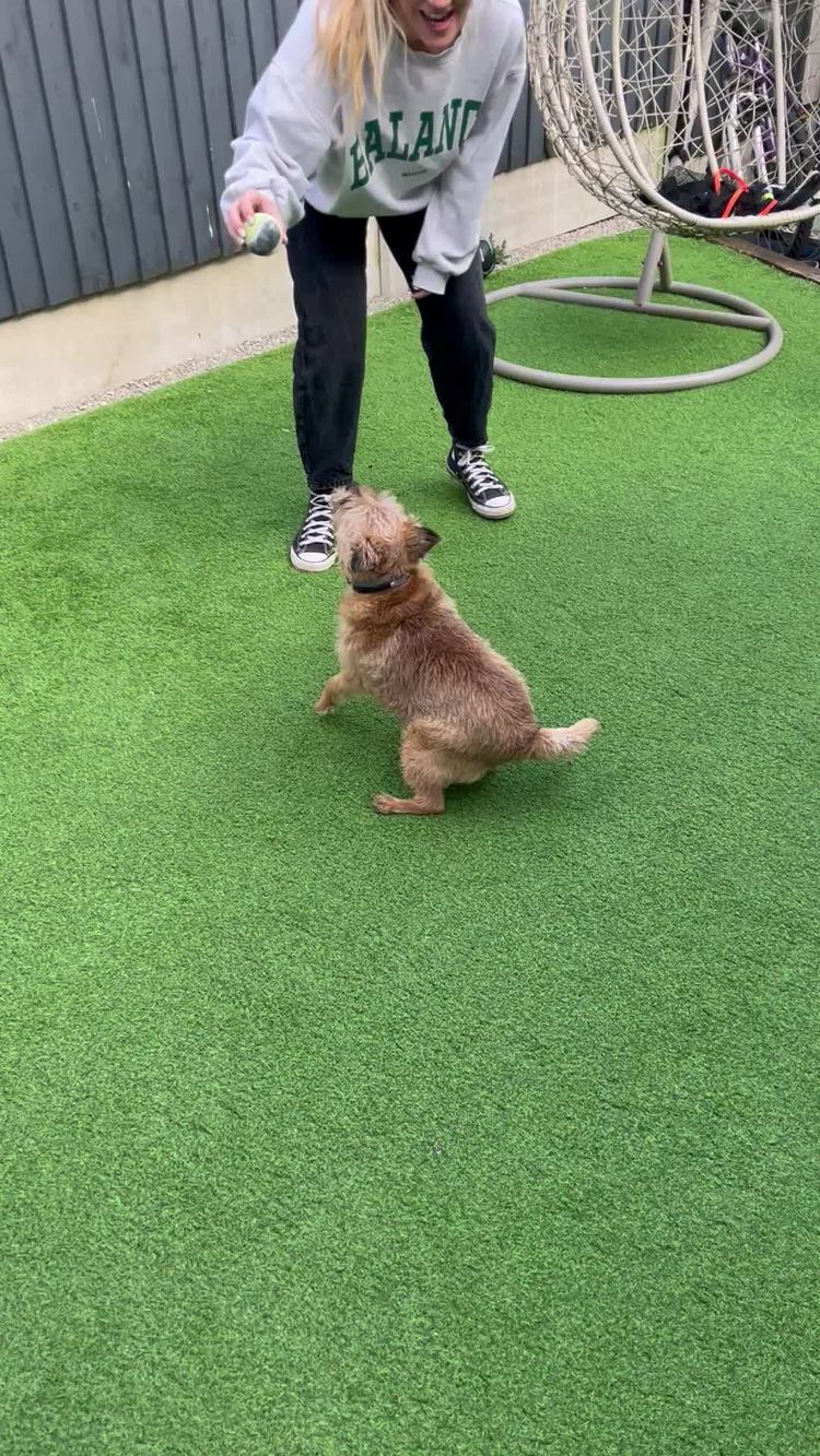 Video of Chernice  for Pawzy Pantry