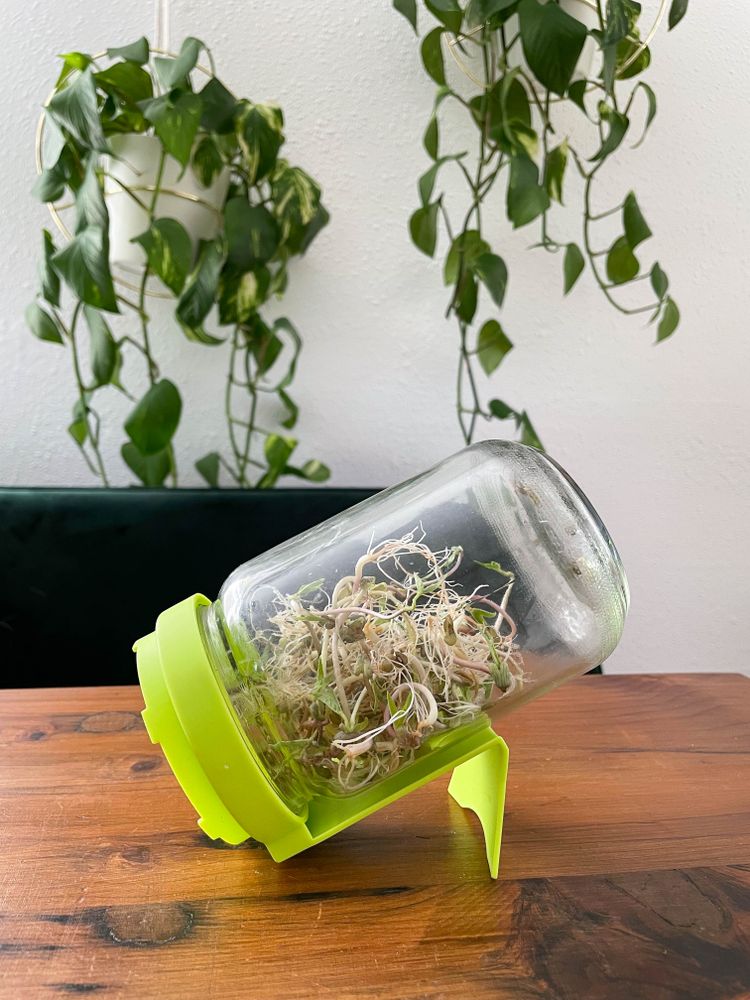 Lebensmittel Foto von Laura für GrowGreens
