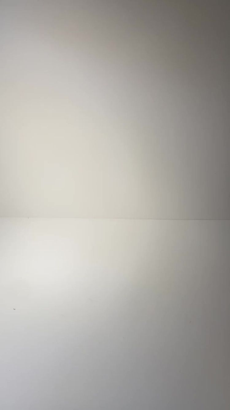 Accessories Video of Simona for Mobilfox