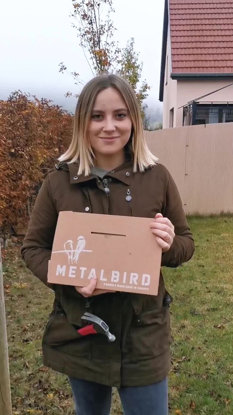 Accueil Vidéo de Camille pour Metalbird