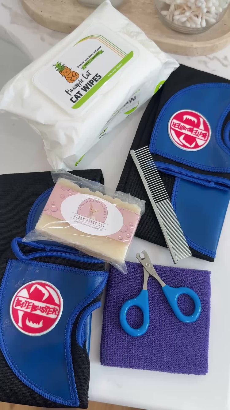 Pets Video of Alejandra for Pineapple Cat