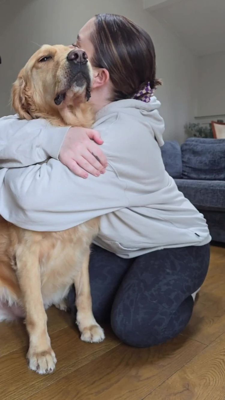 Pets Video of Sheridan for BullyBillows