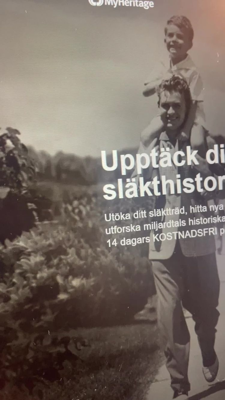 Video av Sara för Indigo Meerkat UGC