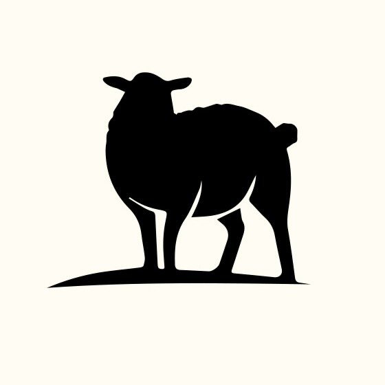 The Cozy Sheep