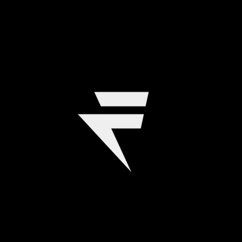 FLYTEX