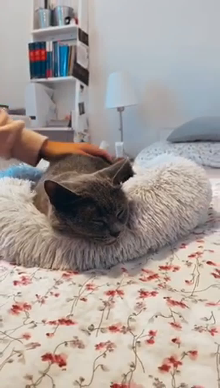 Péče o Pleť Video od Nikola pro Aleia