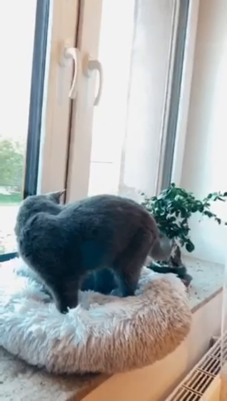 Péče o Pleť Video od Nikola pro Aleia